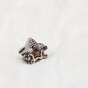 Silver Starfish Charm